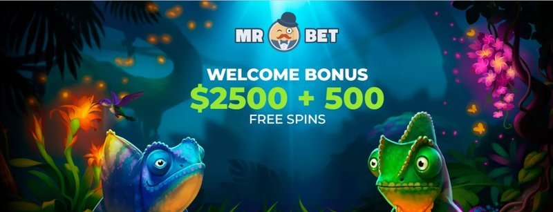 Why the New Bonus Code Matters Right Now - overview Why the New Bonus Code Matters Right Now - overview